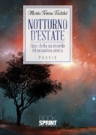 Notturno d'estate